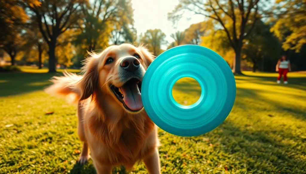 Kate's K9 Pet Care: A cheerful golden retriever fetching a frisbee in a sunny park setting.